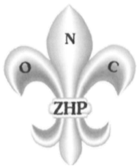 Polish Scouting