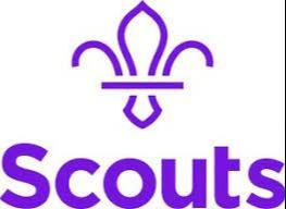Scouts 